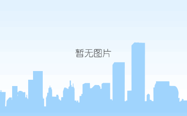 2013全年中文封面.png